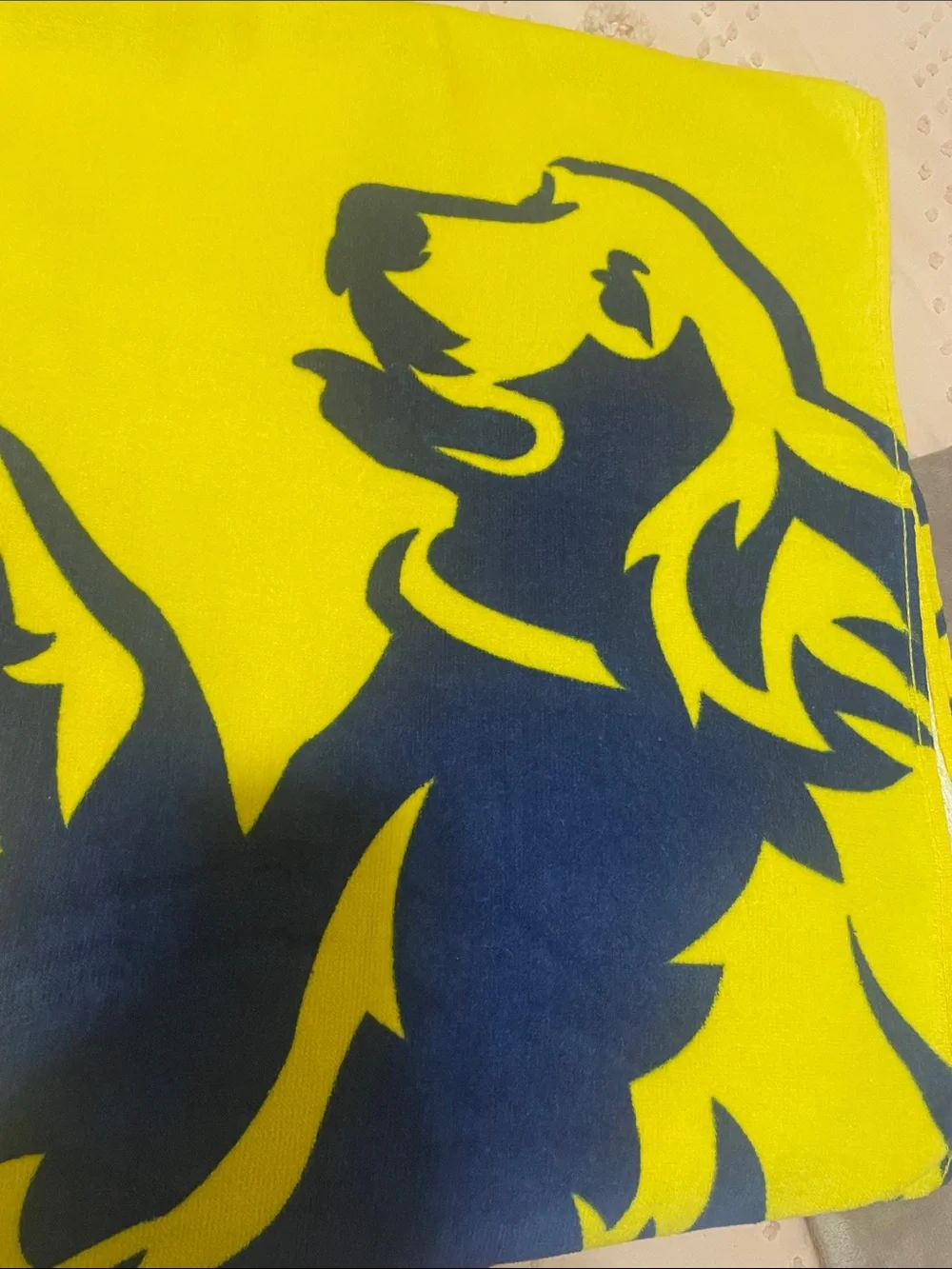 Coppertone Sunscreen Beach Towel